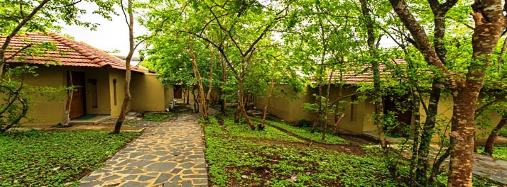 1832/The Windflower Tusker Trails - Bandipur 03.jpg